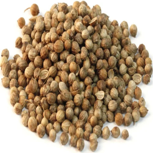 Coriander (ধনিয়া)
